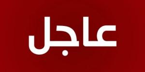 المقاومة الإسلامية تزف الشهيد على طريق القدس المجاهد أحمد علي حسن “ملاك” مواليد عام 1998 من بلدة عيترون في جنوب لبنان وسكان منطقة حي ماضي في الضاحية الجنوبية لبيروت - AARC مصر