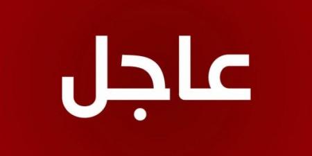 الرئيس الإيراني مسعود بزشكيان: الاعتداء الصهيوني على لبنان يعكس عدم مصداقية الغرب واميركا في مساعيهم لوقف إطلاق النار ومواصلتهم الدعم الكامل لجرائم الاحتلال - AARC مصر