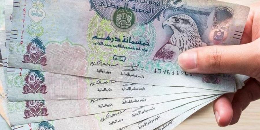 سعر الدرهم الإماراتي في مصر.. اليوم الأربعاء 18 سبتمبر - AARC مصر